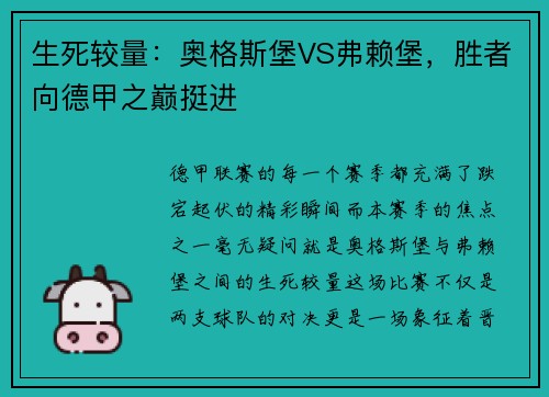 生死较量：奥格斯堡VS弗赖堡，胜者向德甲之巅挺进